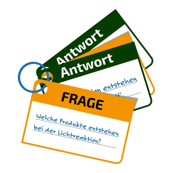 Karteikarten mit Fragen und Antworten Karteikarten